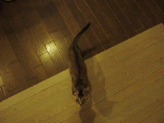 DSC09061.JPG