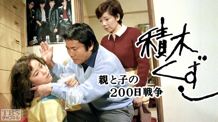 積木くずし　ドラマ　高部知子.jpg
