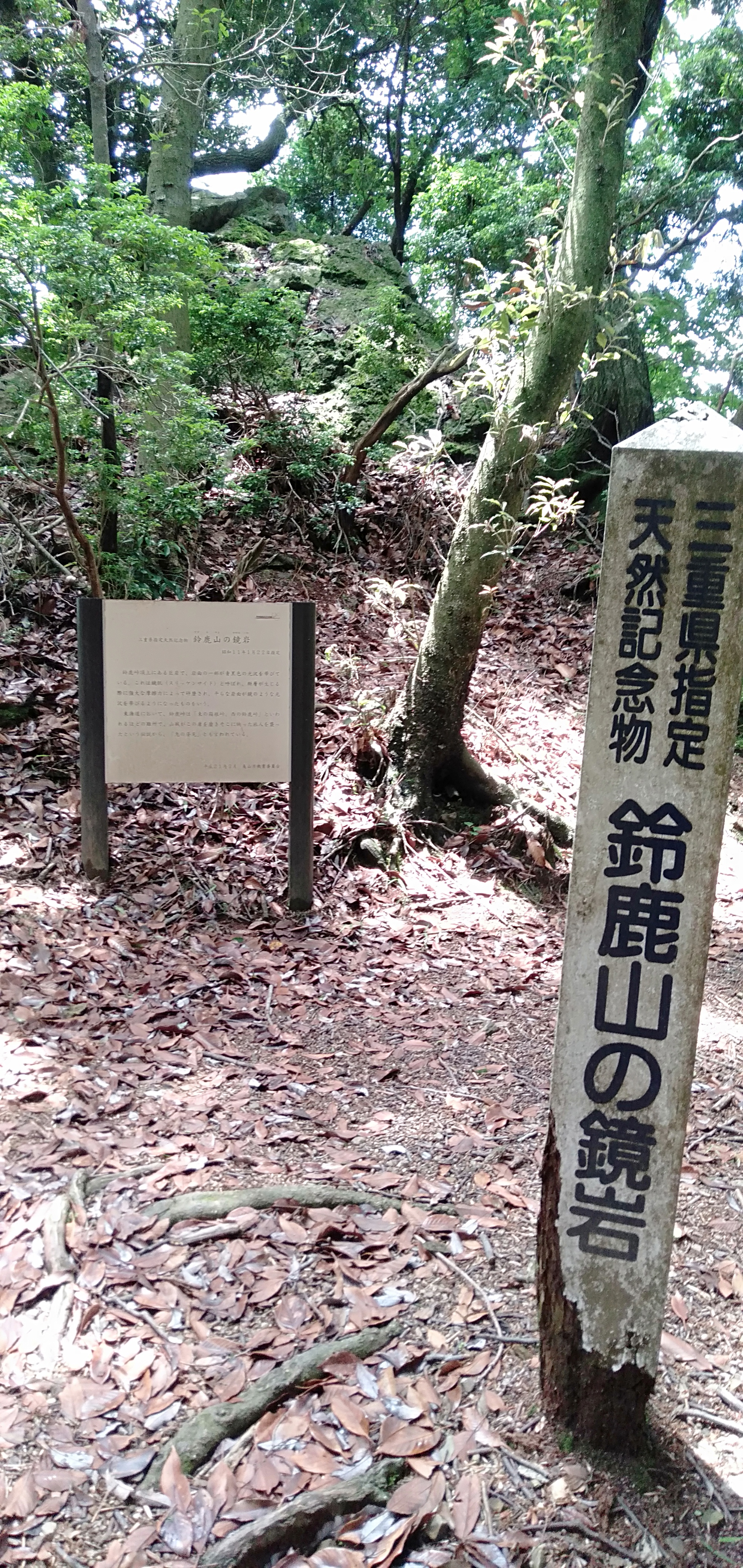 IMG20200615111221.jpg