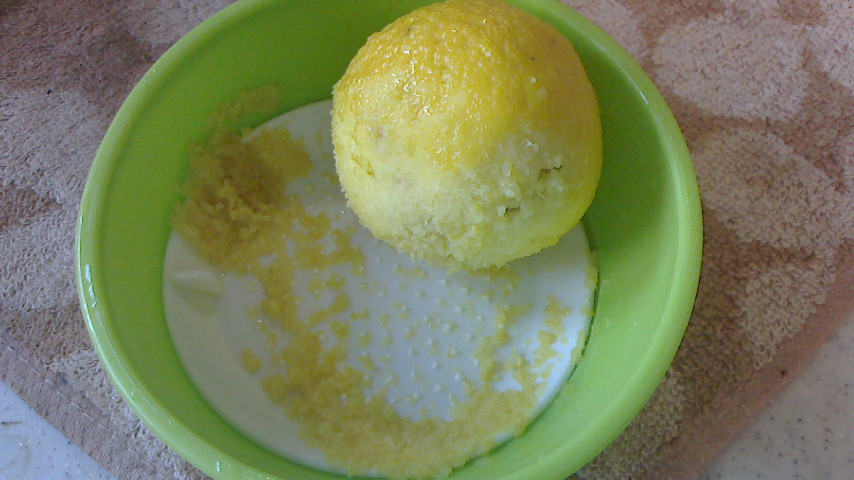 NEC_0139.JPG