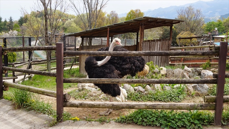 20150420 11451801.JPG