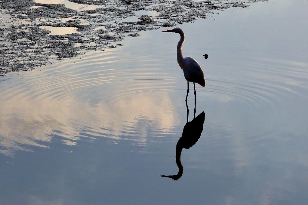 B97A7532 (1024x682) - コピー.jpg