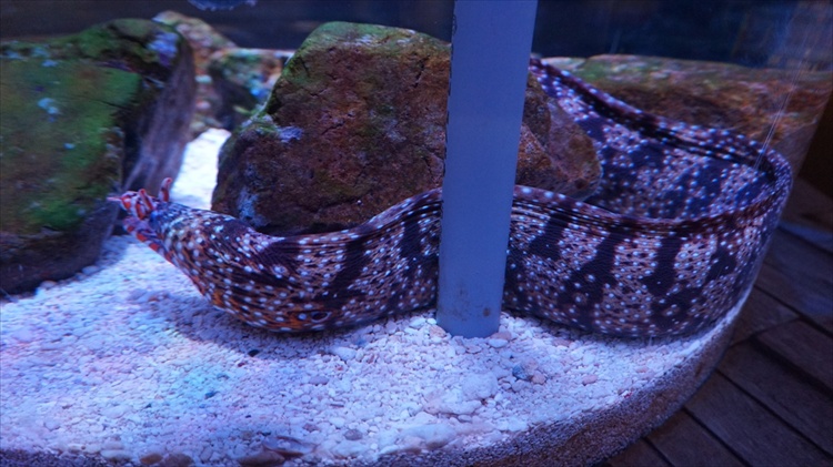 20151111 16025901.jpg