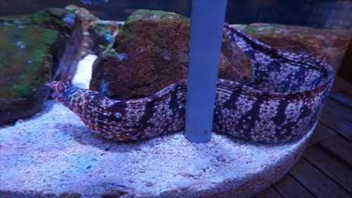 20151111 16025901.jpg