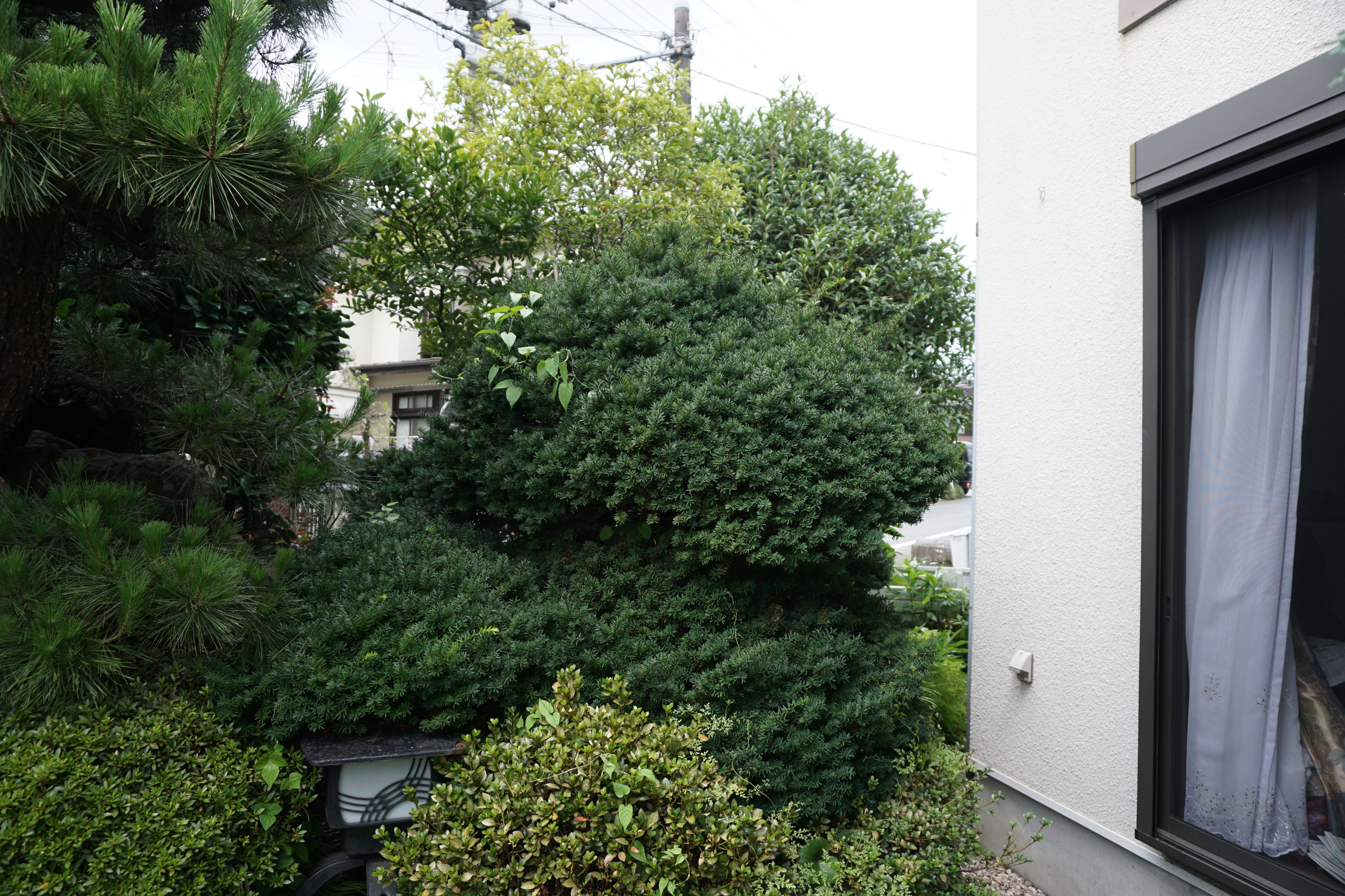 2023年7月2-4.JPG
