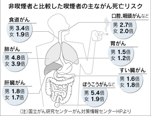 喫煙者のリスク.jpg
