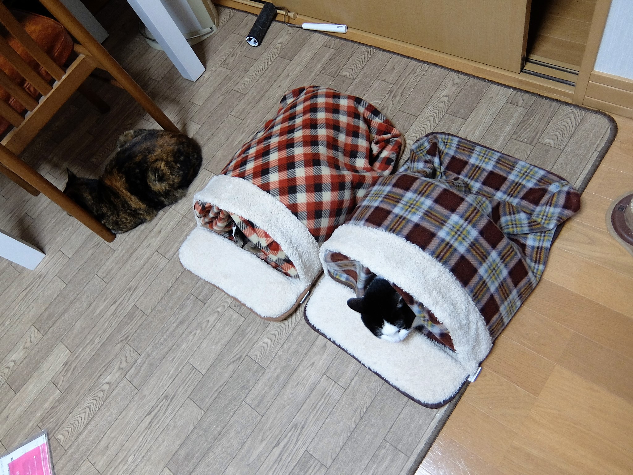DSCF2938 (2).JPG