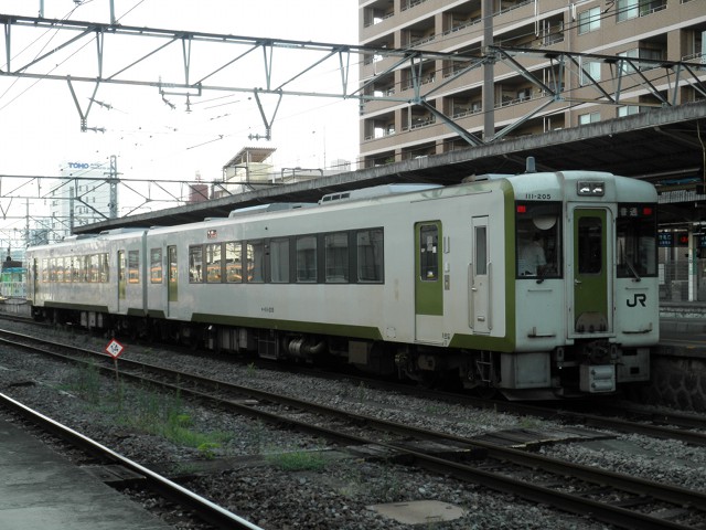 キハ110系200番台 八高線1.jpg