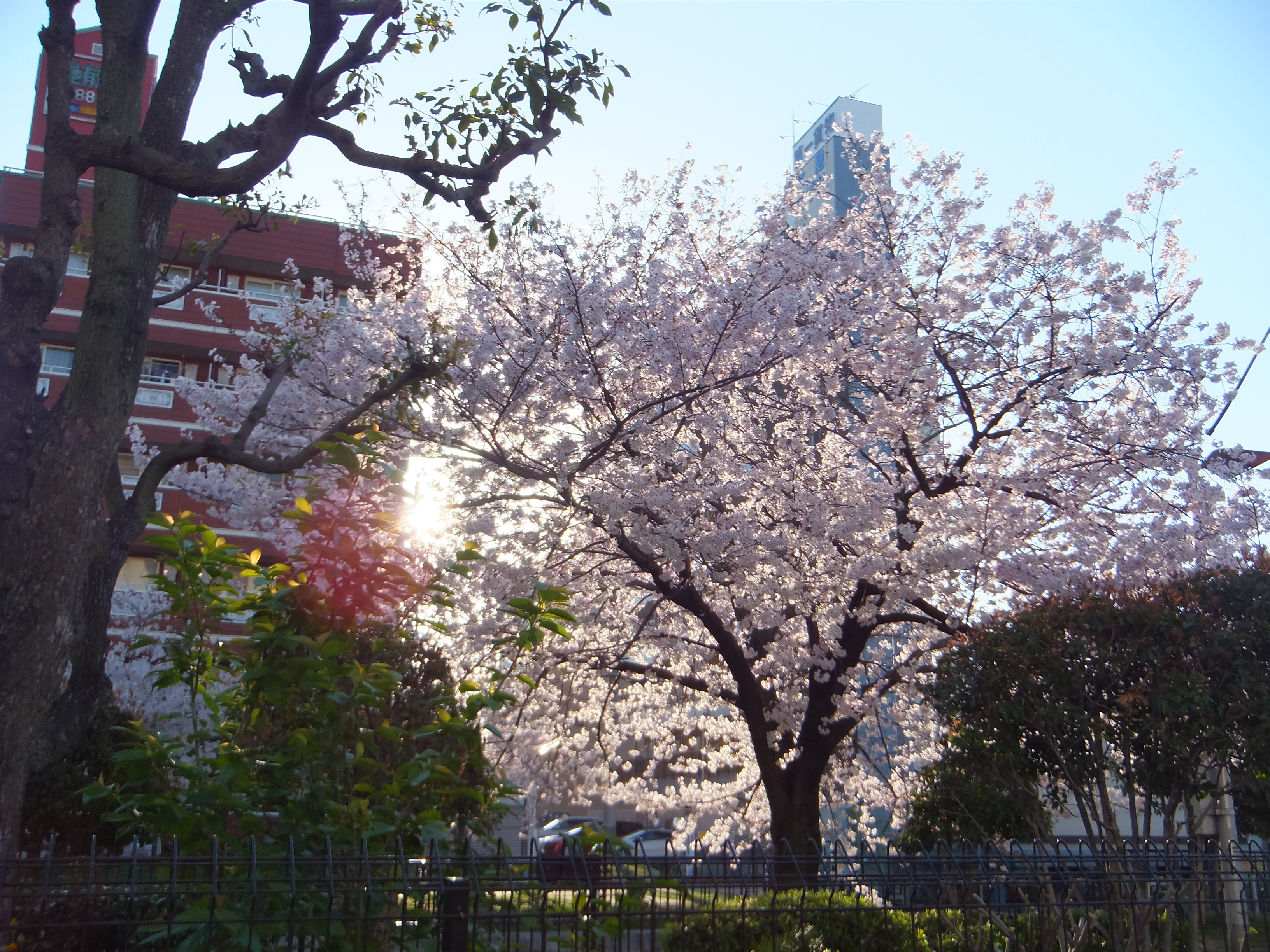 DSCF2636.JPG