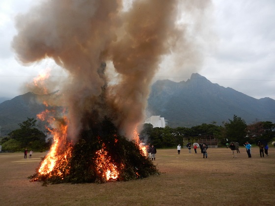DSCN5239.JPG