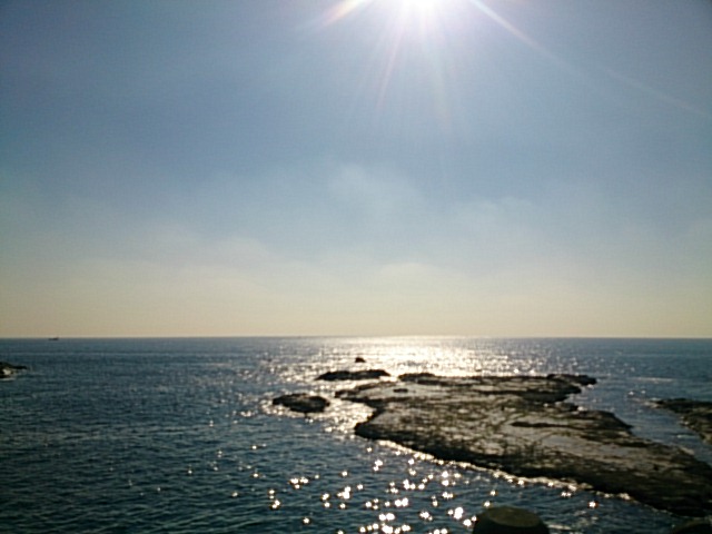 20151209  DSC_0007.jpg