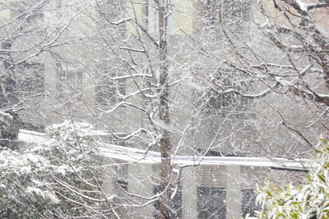 30 snow 2.jpg