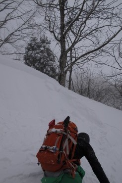 150131-03.jpg