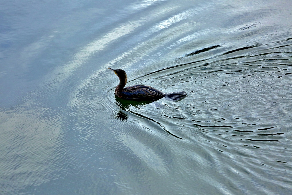 B97A6383 (1024x683).jpg