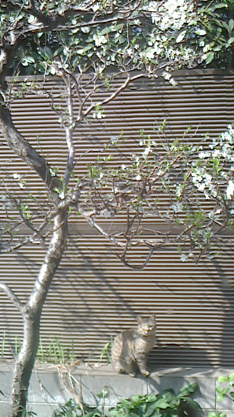 NEC_0707.JPG