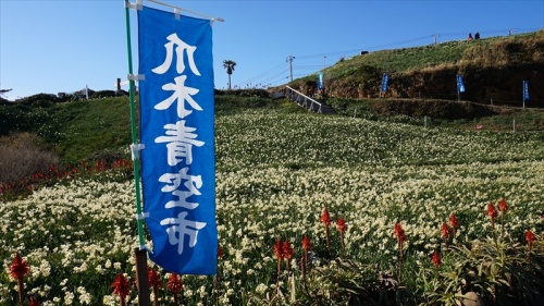 20150108 13385101.JPG