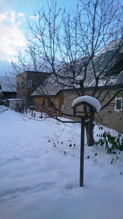 2013.12.1 冬景色.jpg