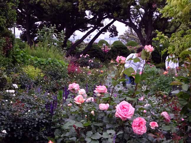 港の見える丘公園 (13).JPG
