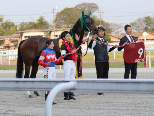 飛山濃水杯２５バンコロｂ.jpg