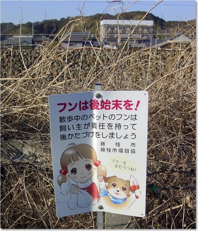 30可愛い犬のフン