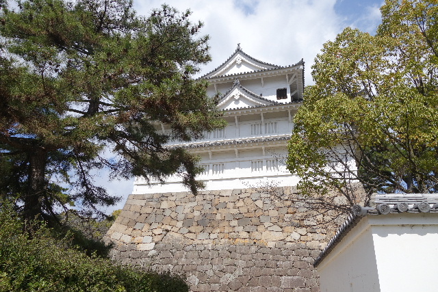 DSC03988.JPG