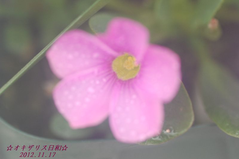 DSC_4961.JPG