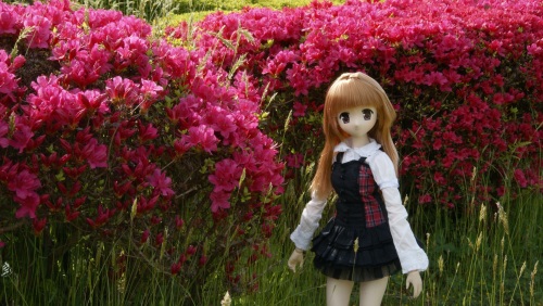 20150429植樹祭　07.jpg