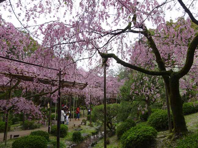 平安神宮 (55).JPG