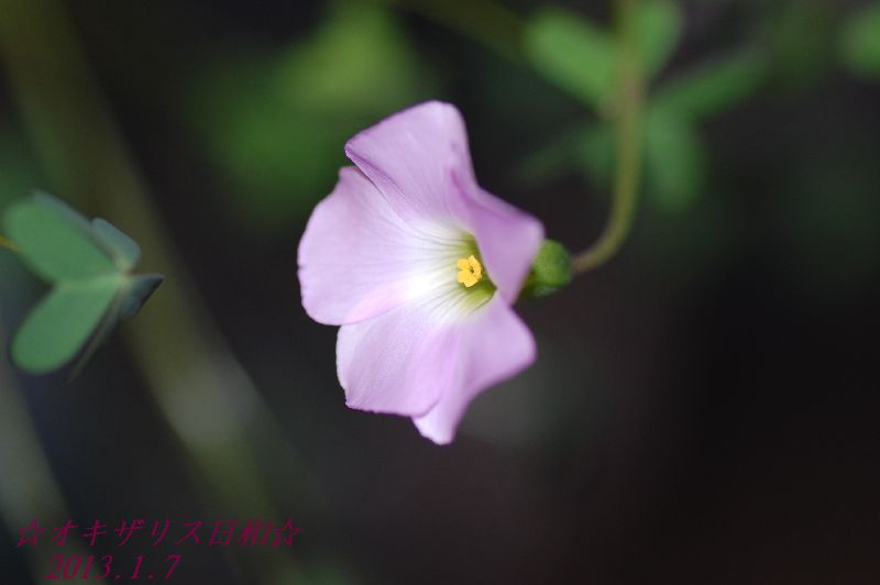 DSC_5728.JPG