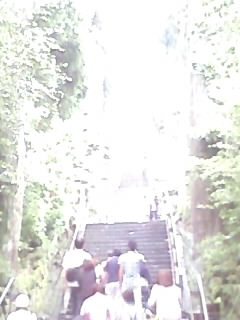 箱根神社.jpeg