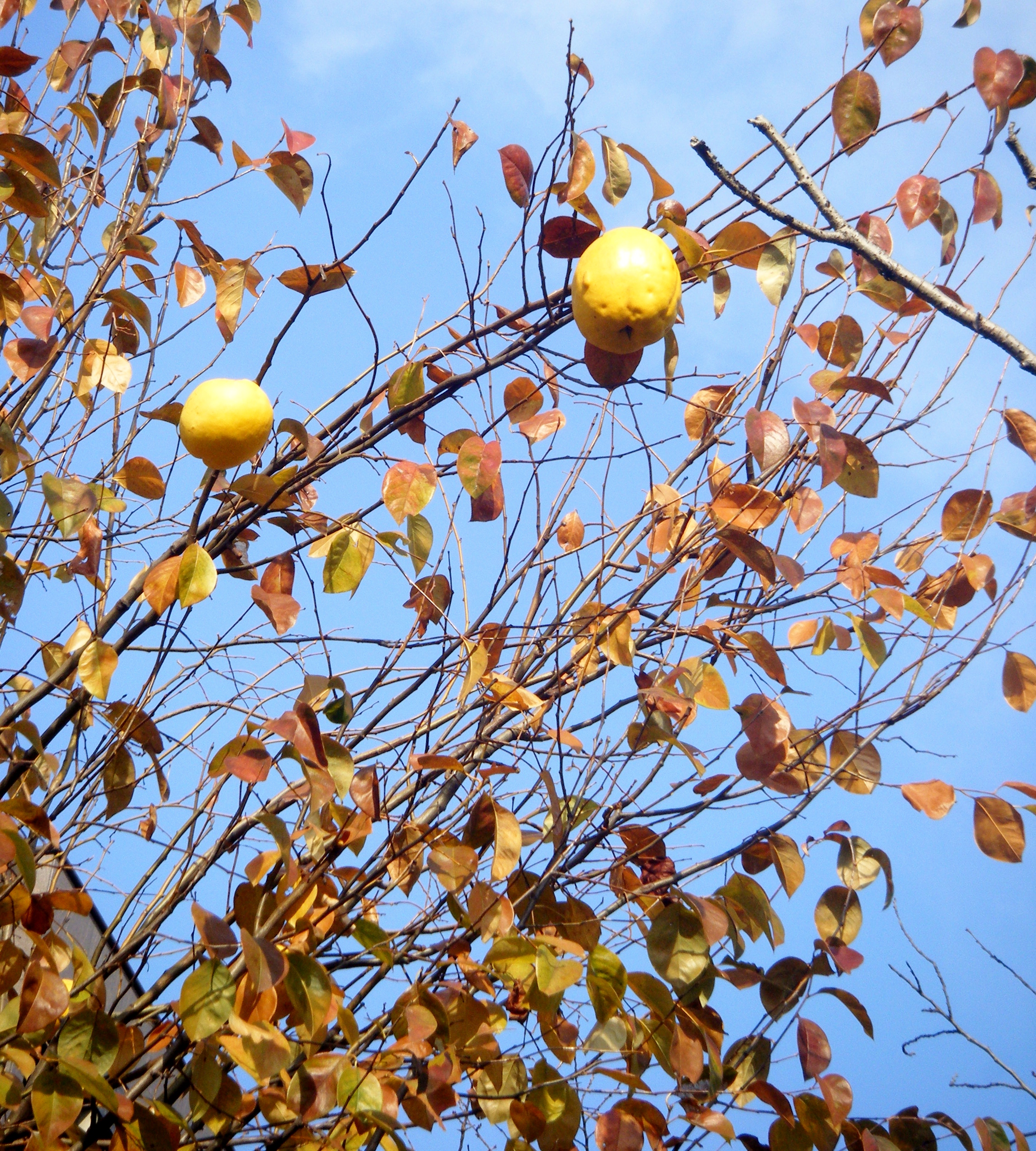 DSCF2284.JPG