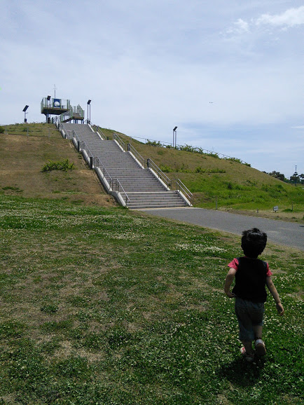 IMG_20170506_121646.jpg