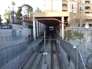 82.jpg