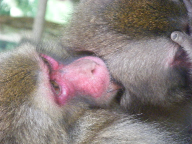 仲のいい姉弟 (3).JPG