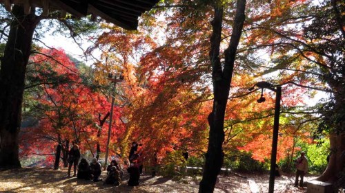 富貴寺 (12).JPG