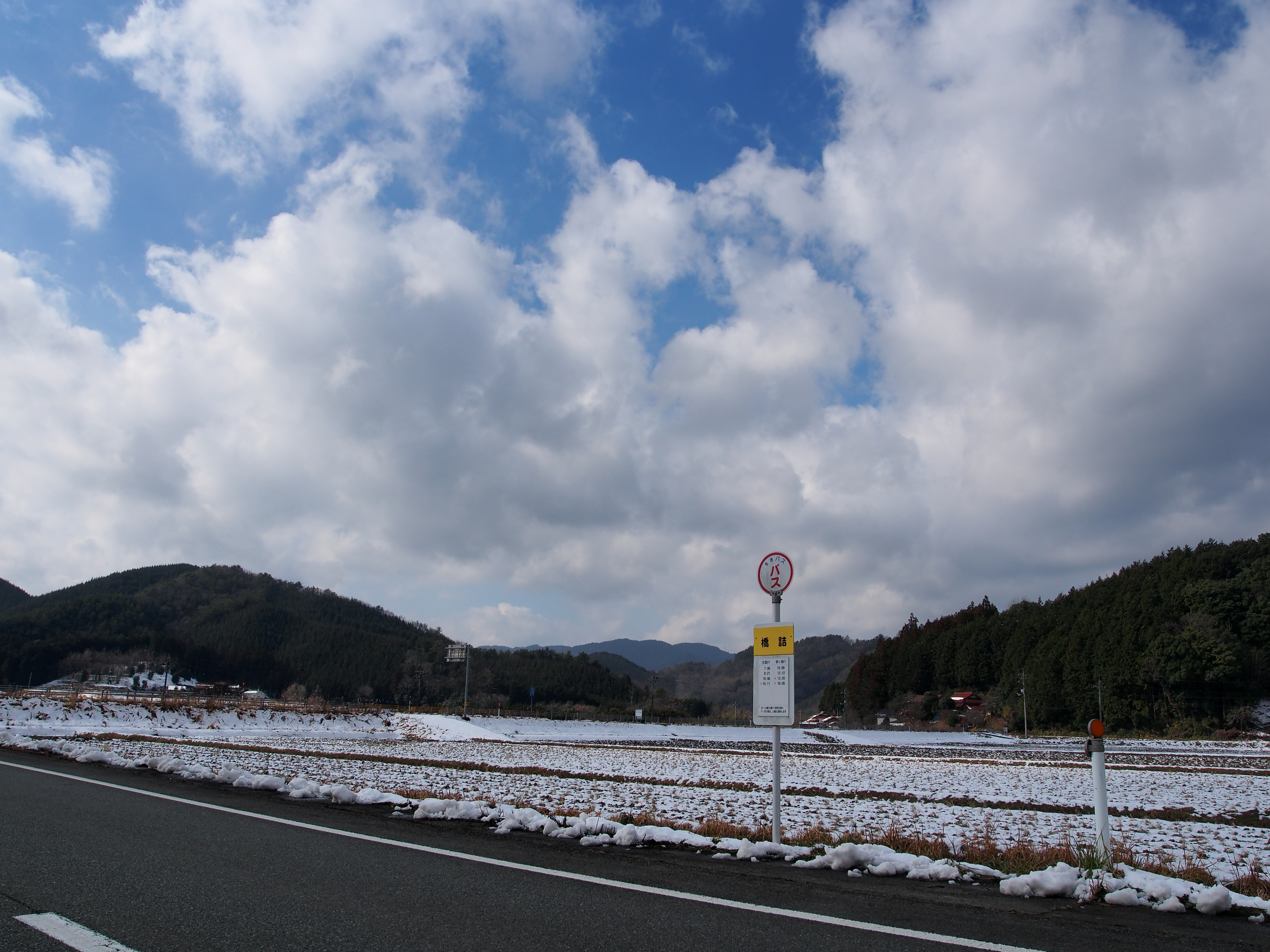 P1193303.JPG