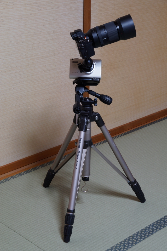 DSC008250001.JPG