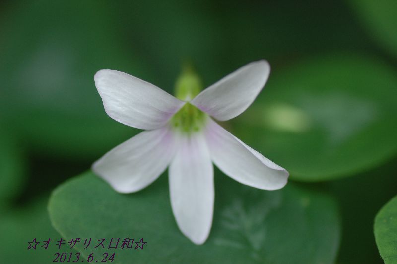 DSC_8206.JPG