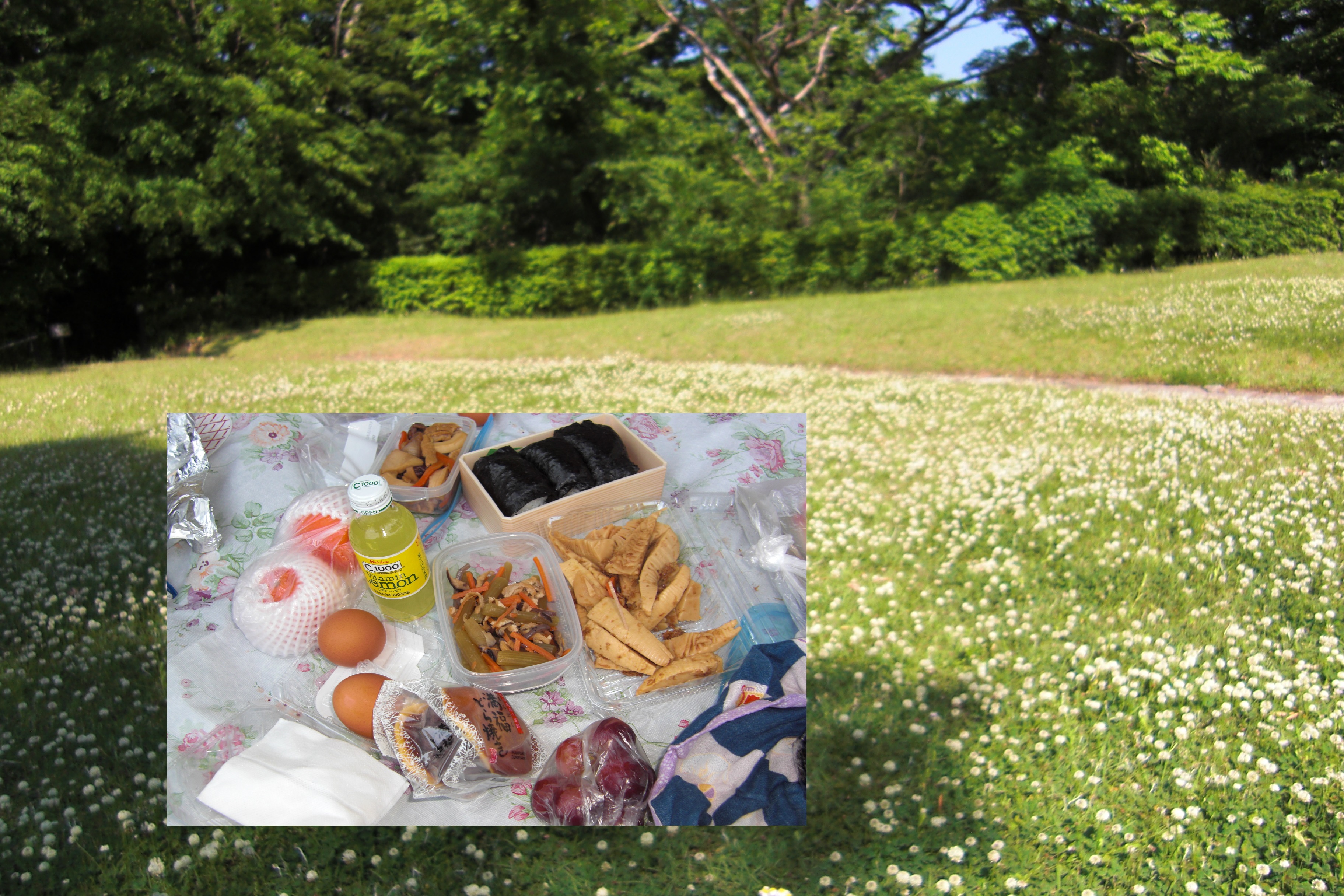 ピクニック２.jpg