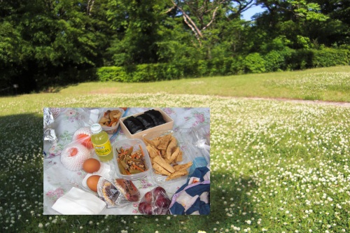ピクニック２.jpg