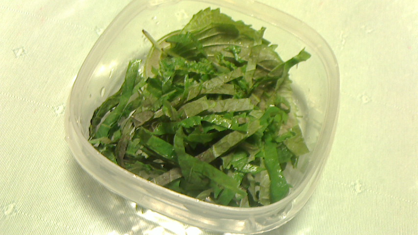 NEC_0649.JPG