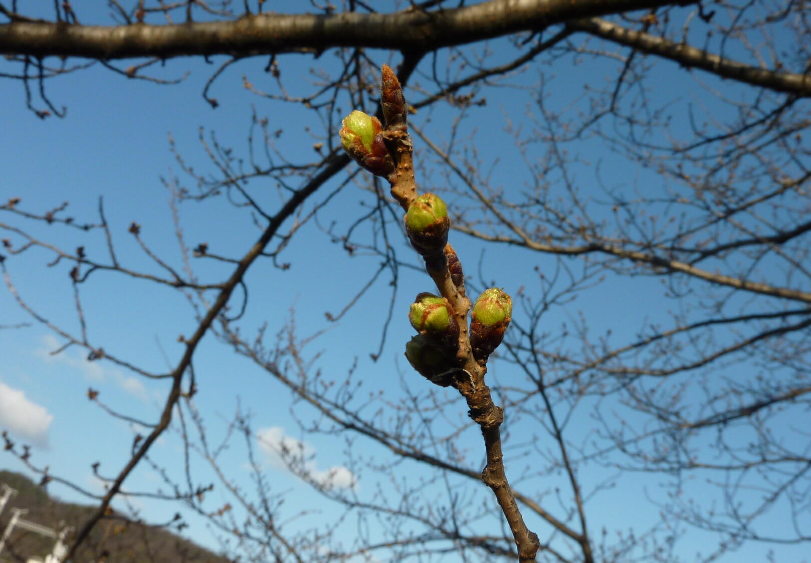 140323-1-3.jpg