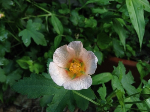 IMG_0476 (640x480).jpg