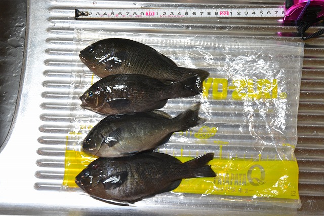 showPhoto (640×426)