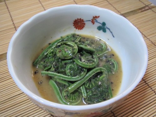 20130417 コゴミ (1).JPG