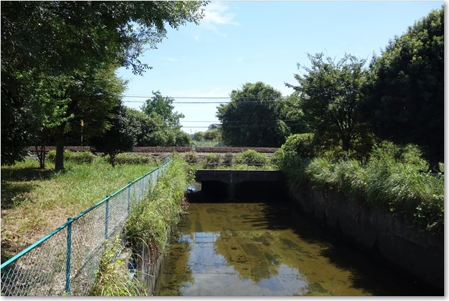 50左は関西本線