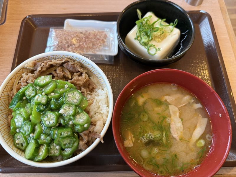 かつぶしオクラ牛丼.jpg