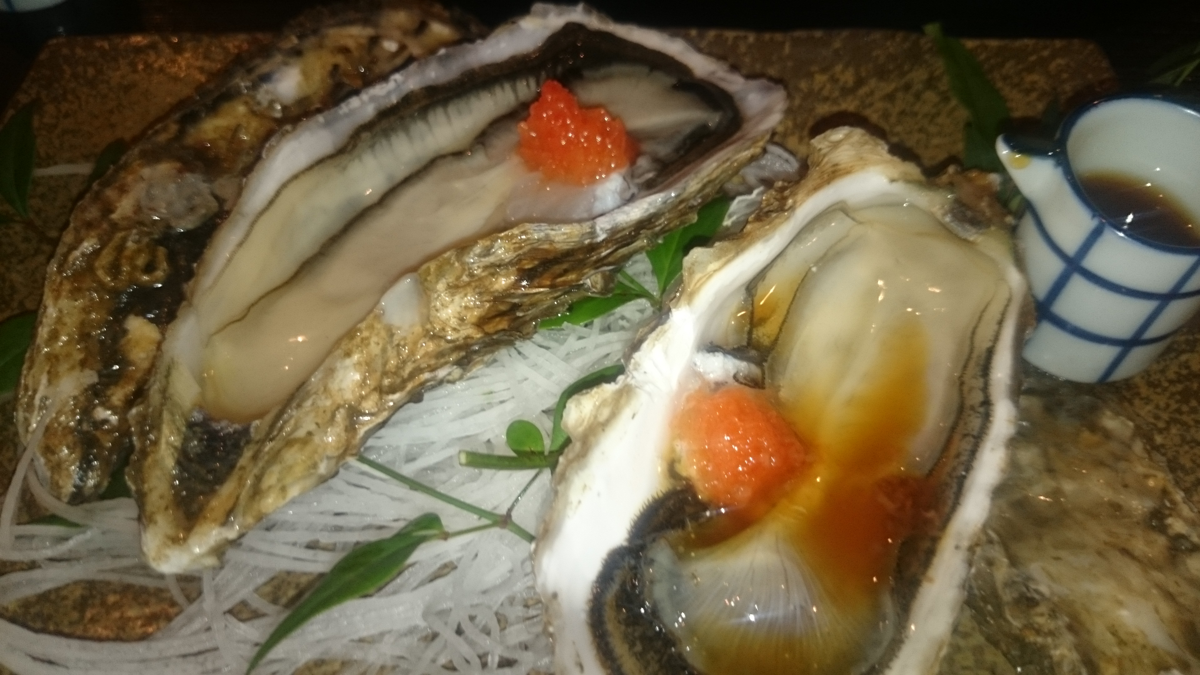 2015-10-30 20.23.08.jpg