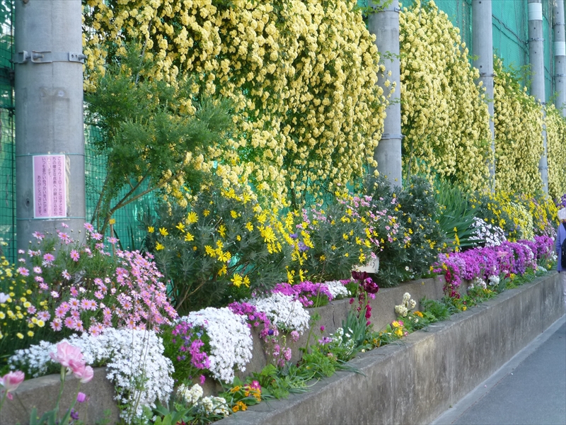 RP1100332.JPG