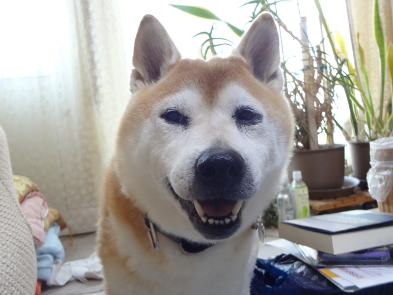 2どこ行くの？.jpg